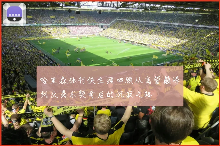 哈里森独行侠生涯回顾从高管巅峰到交易东契奇后的沉寂之路